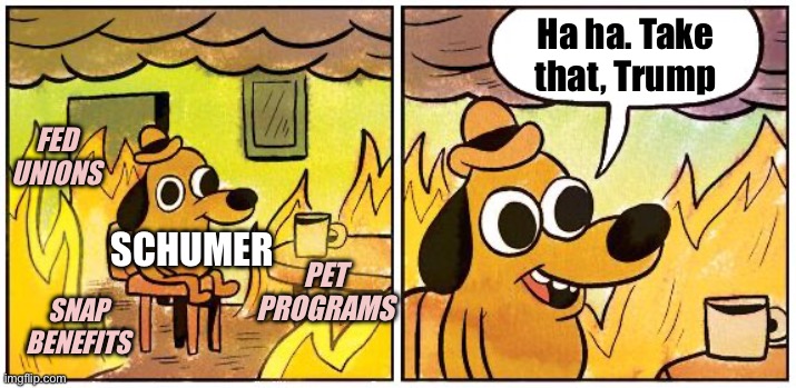 This is Fine (Blank) | Ha ha. Take that, Trump; FED UNIONS; SCHUMER; PET PROGRAMS; SNAP BENEFITS | image tagged in this is fine blank | made w/ Imgflip meme maker