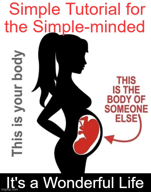 The miracle of life | Simple Tutorial for
the Simple-minded; It's a Wonderful Life | image tagged in babies,gifts,children,it's a wonderful life,conservative logic,parenting | made w/ Imgflip meme maker