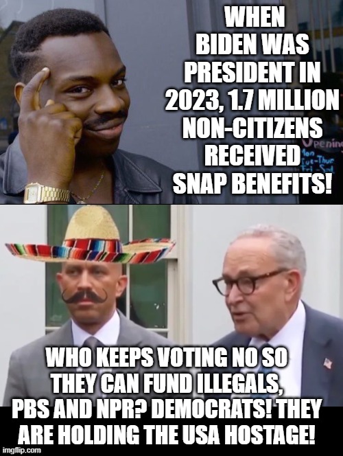 Who is holding the USA hostage? Democrats! | WHEN BIDEN WAS PRESIDENT IN 2023, 1.7 MILLION NON-CITIZENS RECEIVED SNAP BENEFITS! WHO KEEPS VOTING NO SO THEY CAN FUND ILLEGALS, PBS AND NPR? DEMOCRATS! THEY ARE HOLDING THE USA HOSTAGE! | image tagged in democrats | made w/ Imgflip meme maker