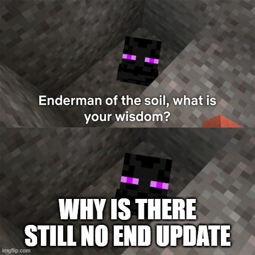 MINECRAFT END UPDATE MEME | WHY IS THERE STILL NO END UPDATE | image tagged in enderman of the soil | made w/ Imgflip meme maker