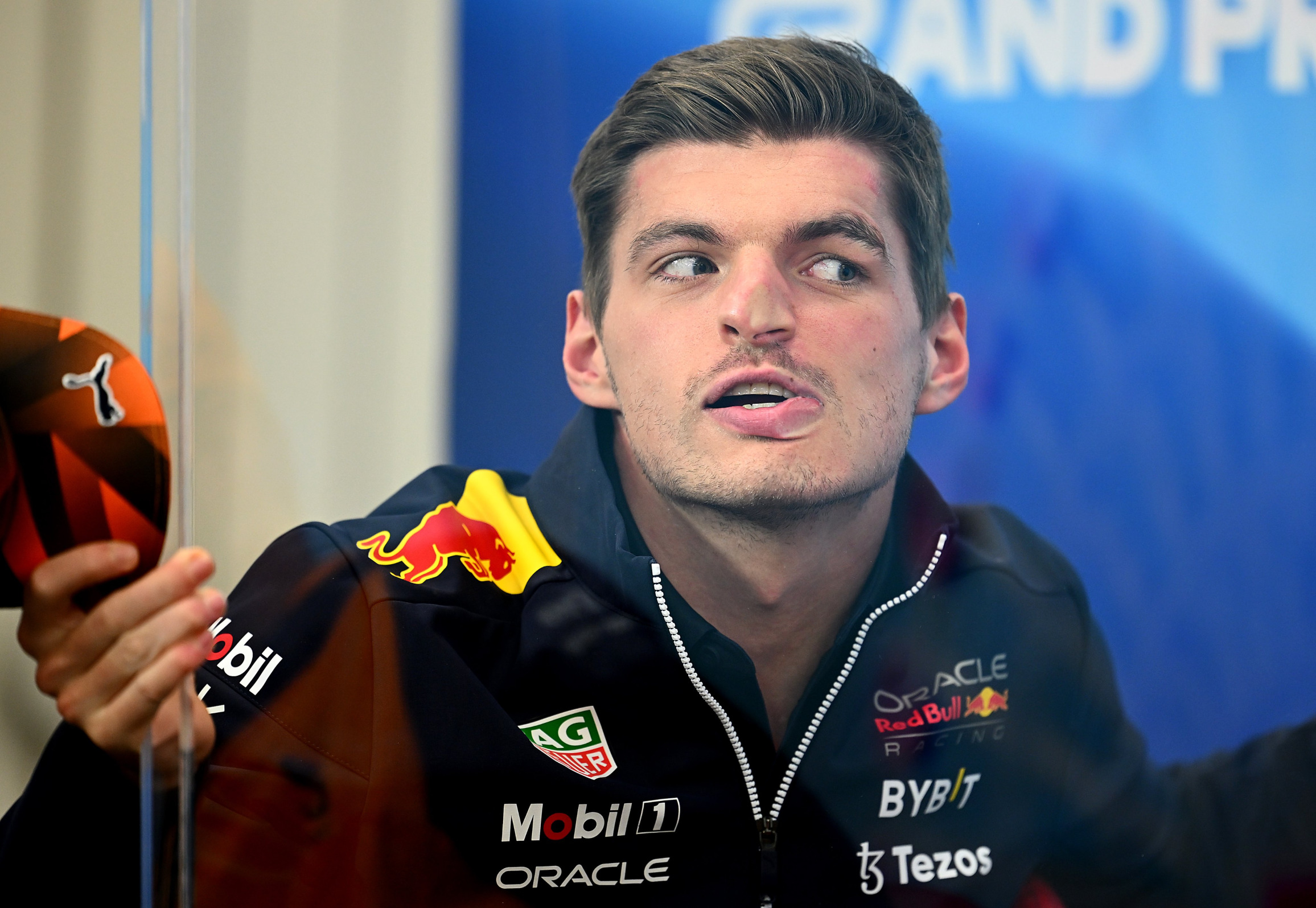 moggs vetsappen Blank Meme Template