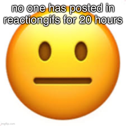 holy crap | no one has posted in reactiongifs for 20 hours | image tagged in not funny | made w/ Imgflip meme maker