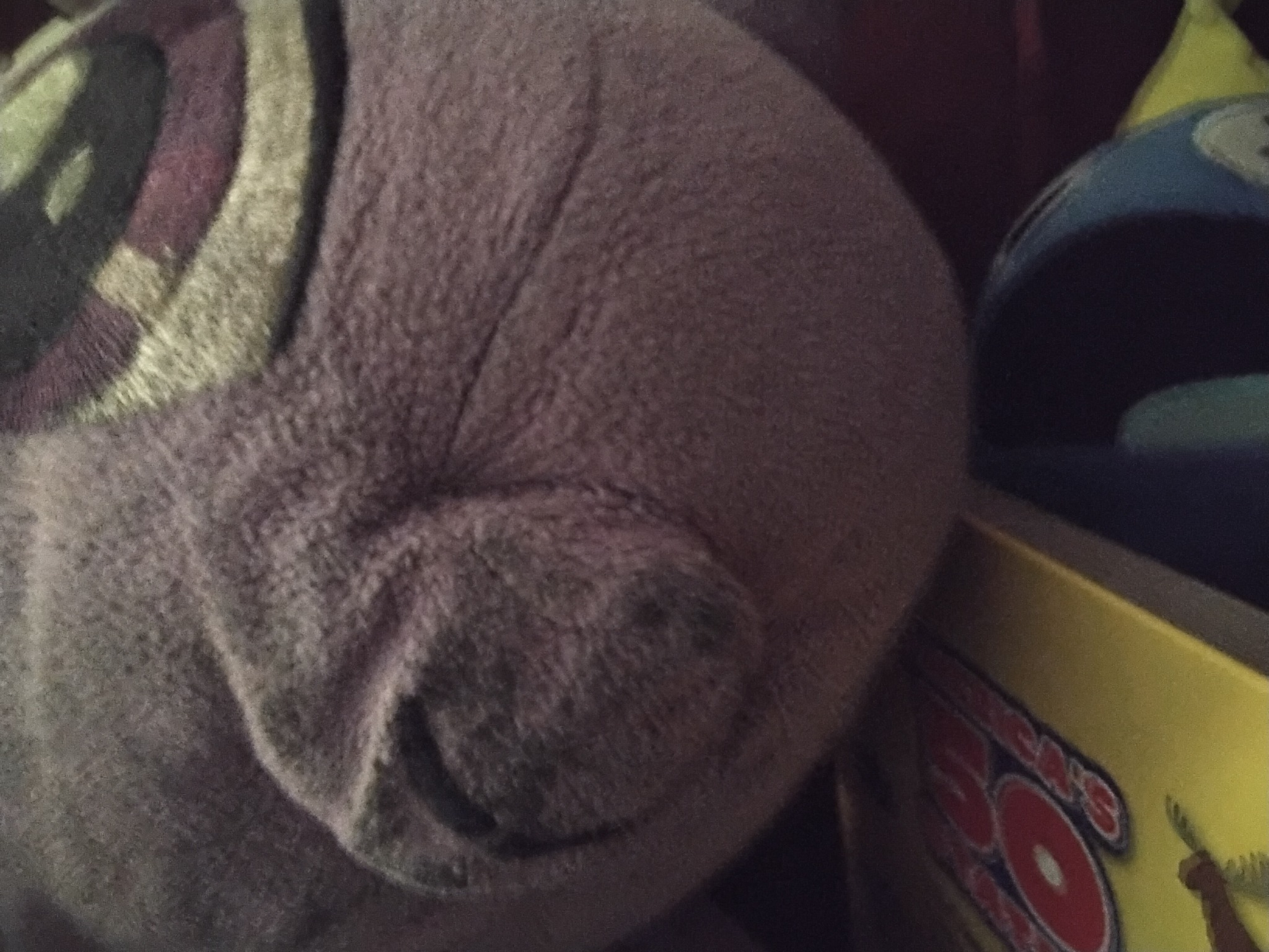 plush selfie Blank Meme Template