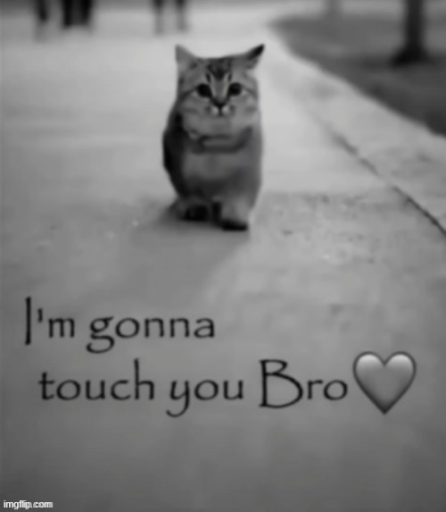 @PhilyaKotGames | image tagged in i'm gonna touch you bro | made w/ Imgflip meme maker