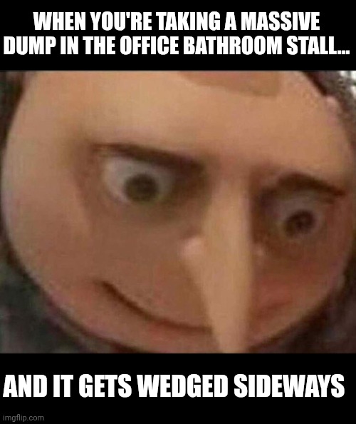 Yeah... This ain't gonna flush without a fight... | WHEN YOU'RE TAKING A MASSIVE DUMP IN THE OFFICE BATHROOM STALL... AND IT GETS WEDGED SIDEWAYS | image tagged in gru meme,office,toilet,massive dump | made w/ Imgflip meme maker