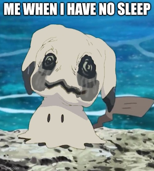 Me when I have no sleep | ME WHEN I HAVE NO SLEEP | image tagged in tired | made w/ Imgflip meme maker