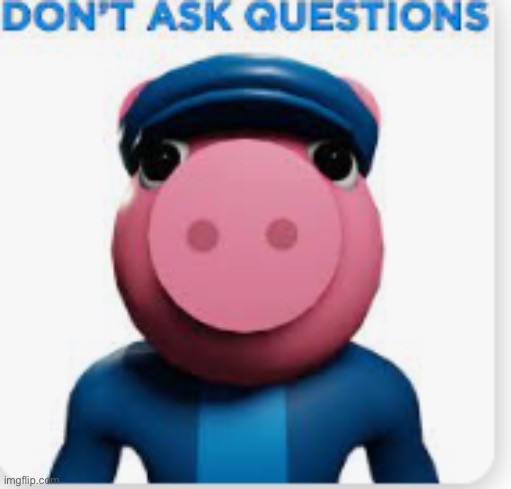 DON'T ASK QUESTIONS | image tagged in don't ask questions | made w/ Imgflip meme maker