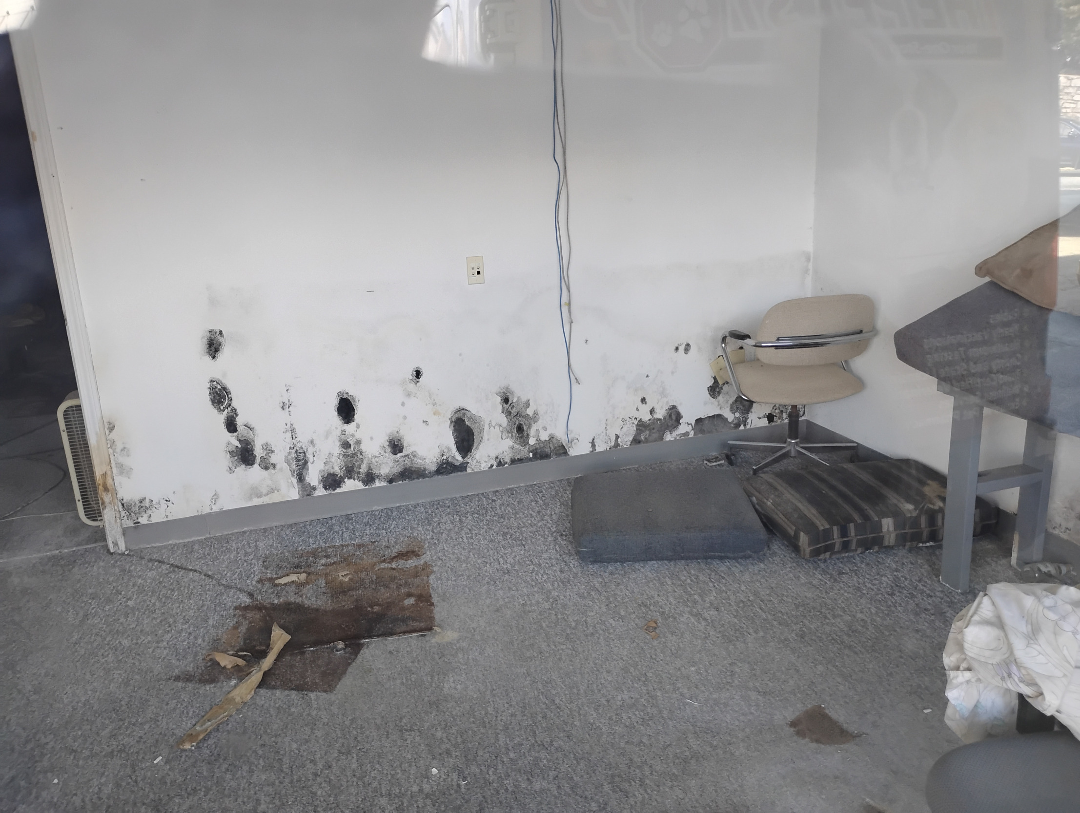 Affordable Apartment Blank Meme Template