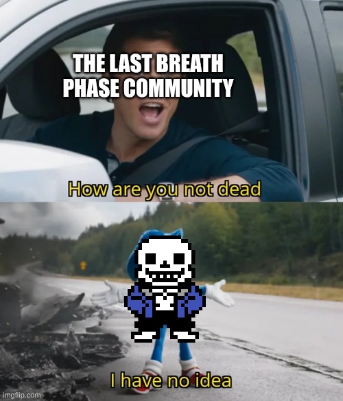 Sonic I have no idea | THE LAST BREATH PHASE COMMUNITY | image tagged in sonic i have no idea | made w/ Imgflip meme maker