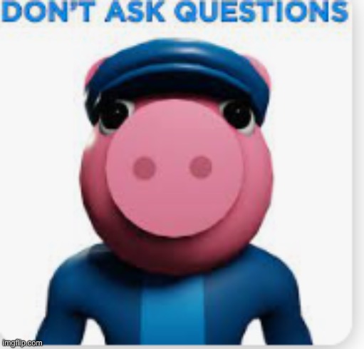 DON'T ASK QUESTIONS | image tagged in don't ask questions | made w/ Imgflip meme maker