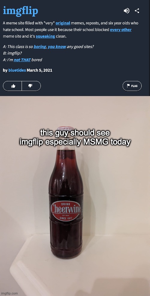 this guy should see imgflip especially MSMG today | image tagged in cheerwine | made w/ Imgflip meme maker