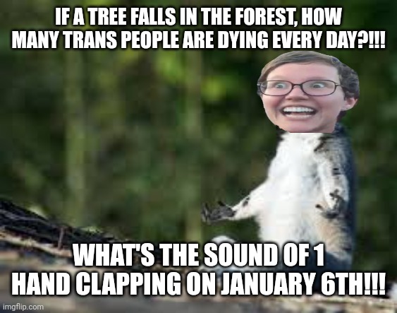 A liberal attempts meditation | IF A TREE FALLS IN THE FOREST, HOW MANY TRANS PEOPLE ARE DYING EVERY DAY?!!! WHAT'S THE SOUND OF 1 HAND CLAPPING ON JANUARY 6TH!!! | image tagged in zen lemur | made w/ Imgflip meme maker