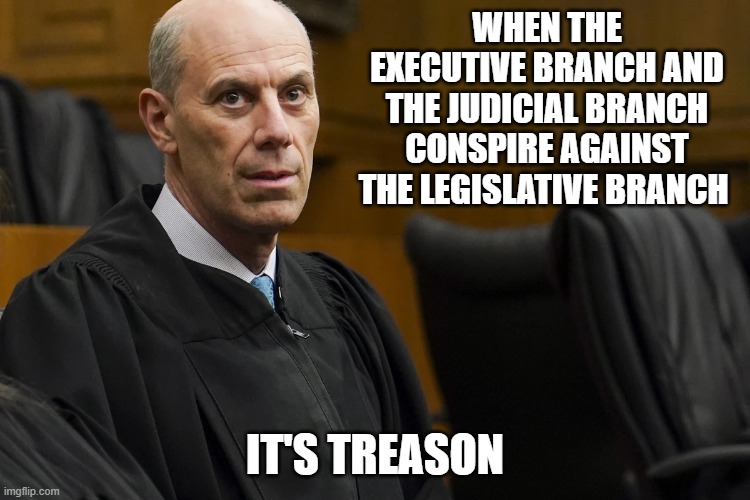 Fight back now! | WHEN THE EXECUTIVE BRANCH AND THE JUDICIAL BRANCH CONSPIRE AGAINST THE LEGISLATIVE BRANCH; IT'S TREASON | image tagged in lunatic activist judge james jeb boasberg | made w/ Imgflip meme maker