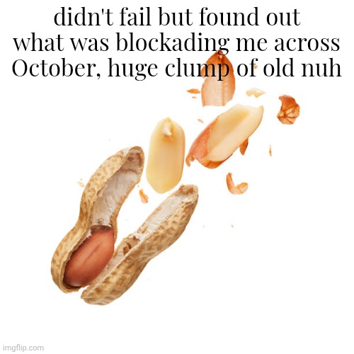 nnn | didn't fail but found out what was blockading me across October, huge clump of old nuh | image tagged in nnn | made w/ Imgflip meme maker