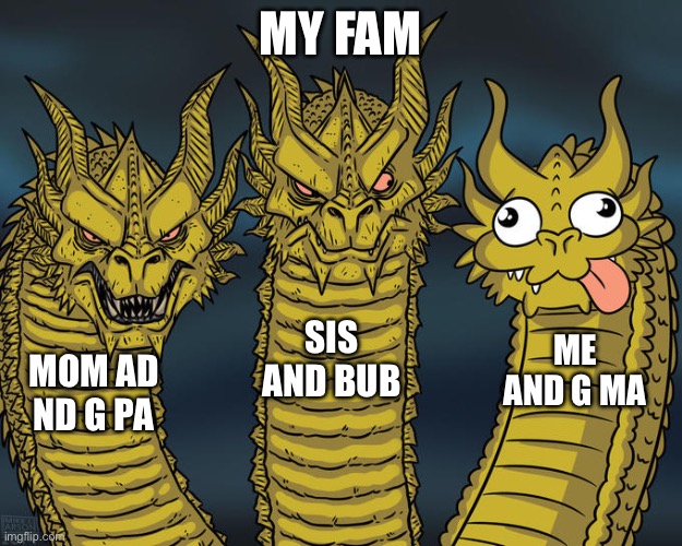 Three-headed Dragon | MY FAM; SIS AND BUB; ME AND G MA; MOM AD
ND G PA | image tagged in three-headed dragon | made w/ Imgflip meme maker
