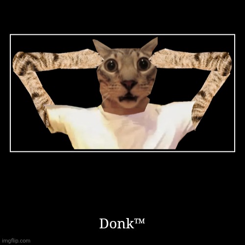 A shitpost | Donk™ | image tagged in funny,demotivationals,shitpost | made w/ Imgflip demotivational maker