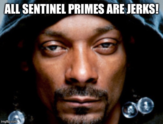 Snoop Scowl | ALL SENTINEL PRIMES ARE JERKS! | image tagged in snoop scowl | made w/ Imgflip meme maker