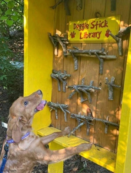 Hez a happy boi | image tagged in memez | made w/ Imgflip meme maker