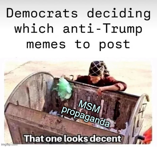 MSM propaganda | made w/ Imgflip meme maker