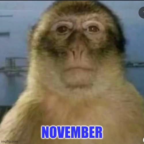 NOVEMBER | made w/ Imgflip meme maker