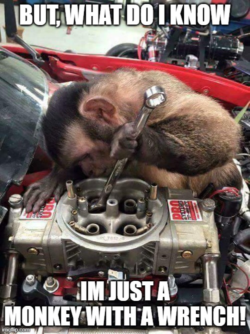 monkey with a wrench | BUT, WHAT DO I KNOW; IM JUST A MONKEY WITH A WRENCH! | image tagged in monkey mechanic | made w/ Imgflip meme maker