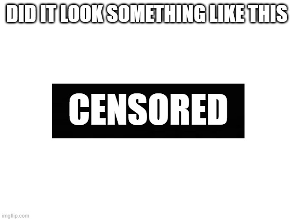 DID IT LOOK SOMETHING LIKE THIS CENSORED | made w/ Imgflip meme maker