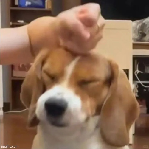 Bomk! | made w/ Imgflip meme maker