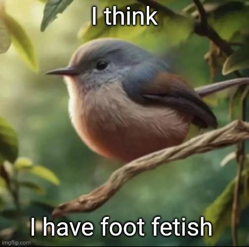 No balls | I think; I have foot fetish | image tagged in no balls | made w/ Imgflip meme maker