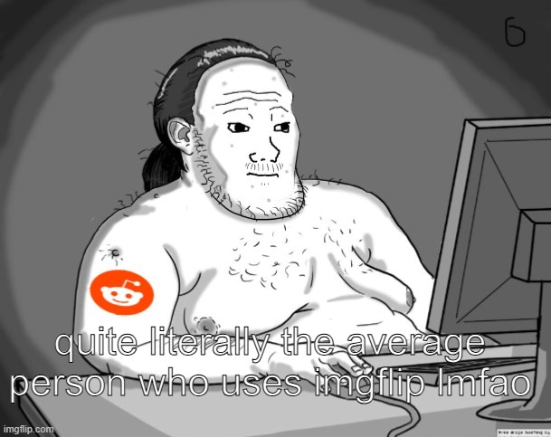 Average Redditor | quite literally the average person who uses imgflip lmfao | image tagged in average redditor | made w/ Imgflip meme maker
