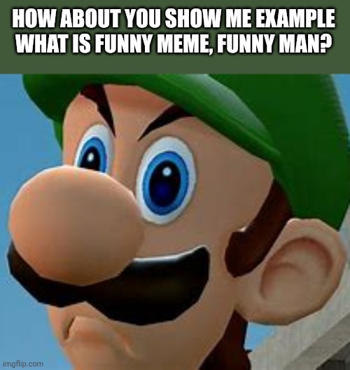 condescending luigi | HOW ABOUT YOU SHOW ME EXAMPLE WHAT IS FUNNY MEME, FUNNY MAN? | image tagged in condescending luigi | made w/ Imgflip meme maker