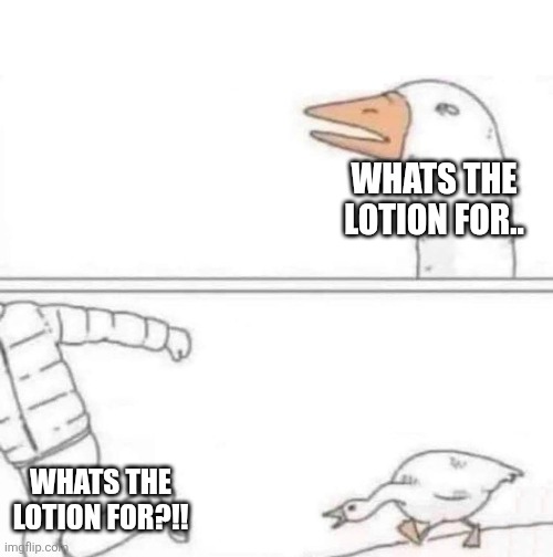 Goose Chase | WHATS THE LOTION FOR.. WHATS THE LOTION FOR?!! | image tagged in goose chase | made w/ Imgflip meme maker