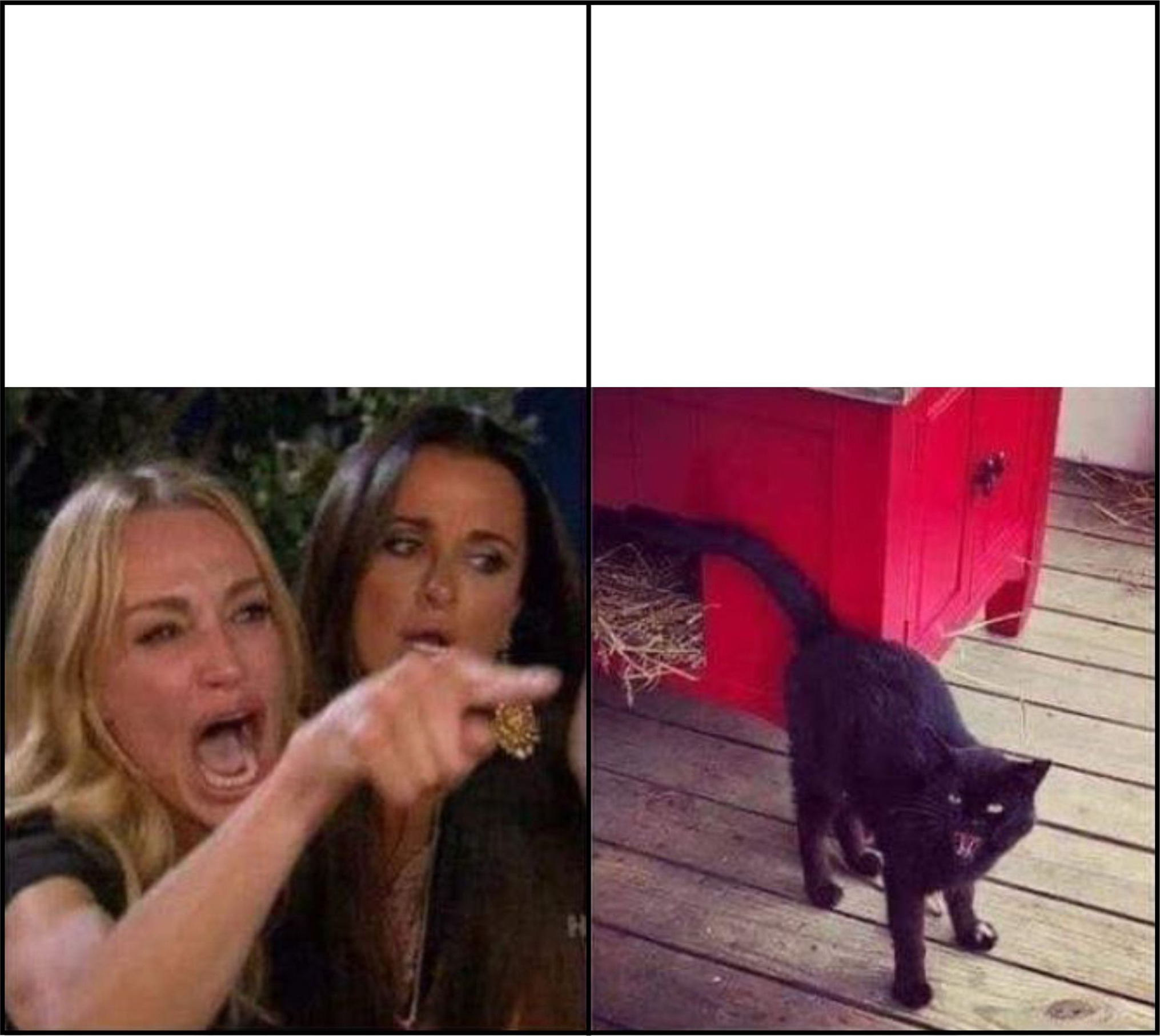 Blackie Blank Meme Template