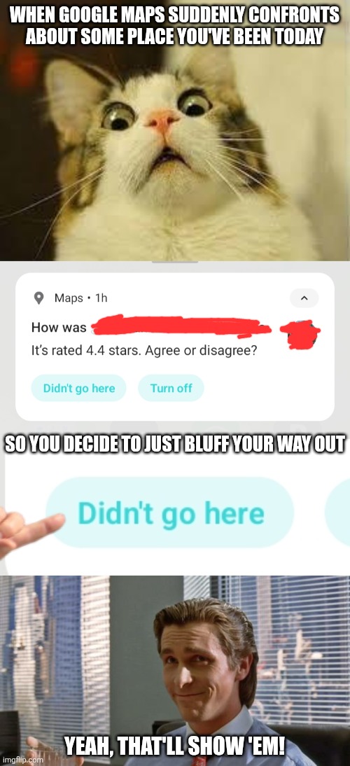 WHEN GOOGLE MAPS SUDDENLY CONFRONTS ABOUT SOME PLACE YOU'VE BEEN TODAY; SO YOU DECIDE TO JUST BLUFF YOUR WAY OUT; YEAH, THAT'LL SHOW 'EM! | image tagged in shocked cat,smug patrick bateman | made w/ Imgflip meme maker
