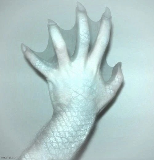 this is what zap's hand would canonically look like btw | made w/ Imgflip meme maker