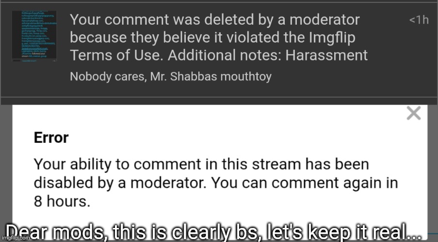 Manti the superzionist (not an offensive use of the word, just a label, watch this superflag | Dear mods, this is clearly bs, let's keep it real... | made w/ Imgflip meme maker