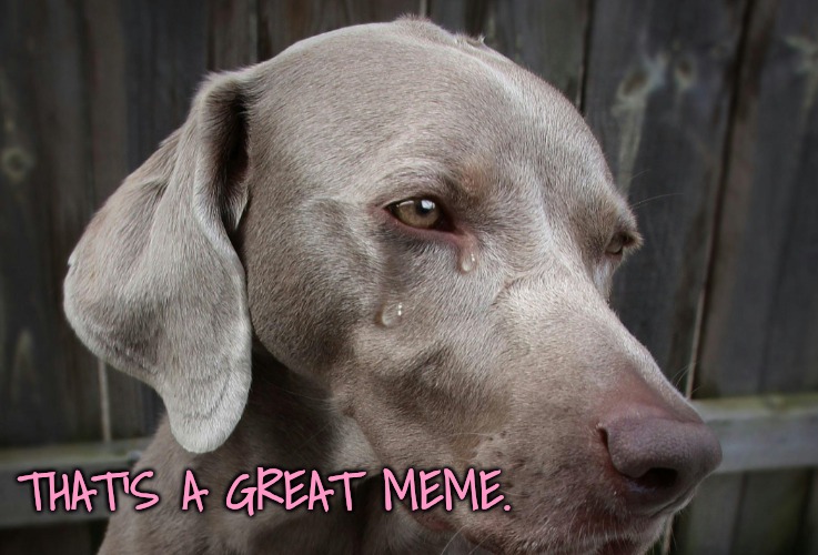 Crying | THAT'S A GREAT MEME. | image tagged in crying | made w/ Imgflip meme maker