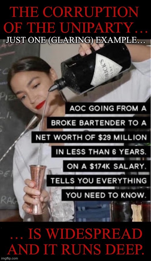 Another Democrat millionaire commie… | JUST ONE (GLARING) EXAMPLE… | image tagged in political meme,aoc,government corruption,marxist millionaire,uniparty | made w/ Imgflip meme maker