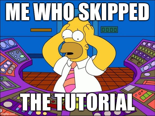 Me | ME WHO SKIPPED; THE TUTORIAL | image tagged in homer panic | made w/ Imgflip meme maker