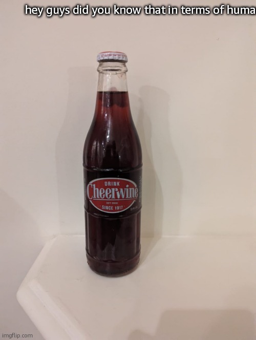 Cheerwine | hey guys did you know that in terms of human | image tagged in cheerwine | made w/ Imgflip meme maker