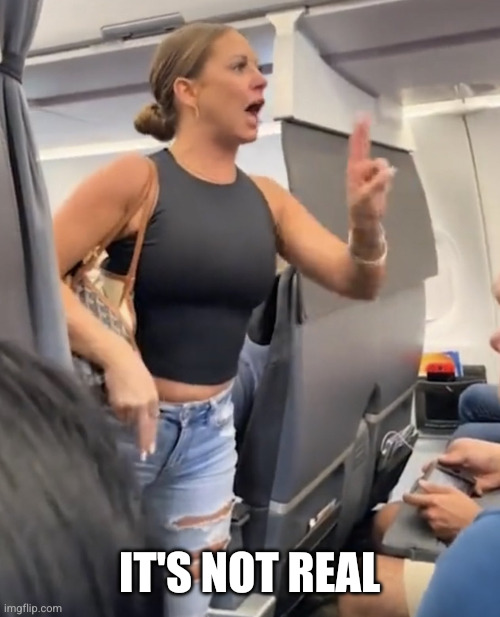 Plane Lady Not Real | IT'S NOT REAL | image tagged in plane lady not real | made w/ Imgflip meme maker