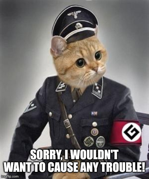 Grammar Nazi Cat | SORRY, I WOULDN'T WANT TO CAUSE ANY TROUBLE! | image tagged in grammar nazi cat | made w/ Imgflip meme maker