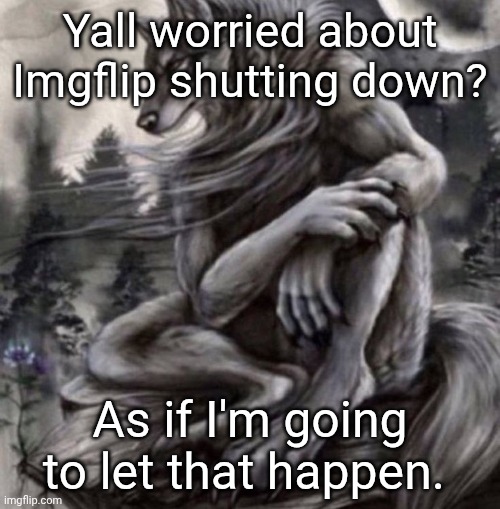 Alpha wolf | Yall worried about Imgflip shutting down? As if I'm going to let that happen. | made w/ Imgflip meme maker