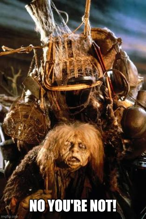 Labyrinth Junk Lady | NO YOU'RE NOT! | image tagged in labyrinth junk lady | made w/ Imgflip meme maker