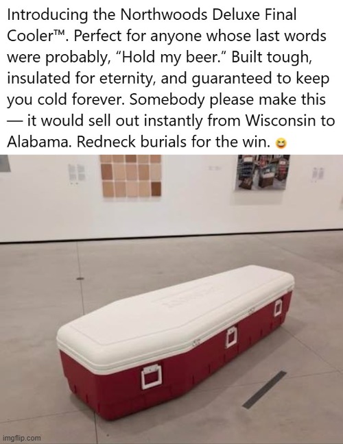 Forever Cool,,, | image tagged in hold my beer,ice chest,igloo | made w/ Imgflip meme maker