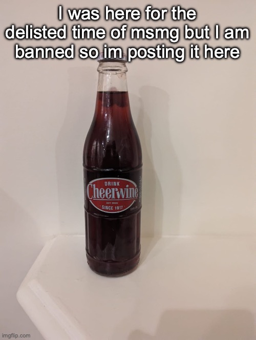 for now it was mod abuse | I was here for the delisted time of msmg but I am banned so im posting it here | image tagged in cheerwine | made w/ Imgflip meme maker