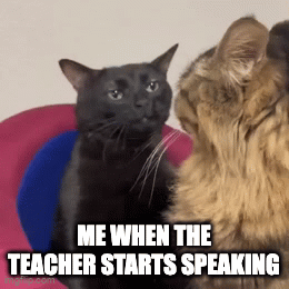 Me in class - Imgflip