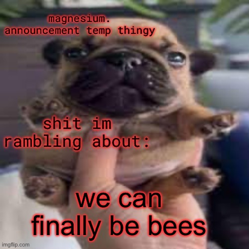 pug temp | we can finally be bees | image tagged in pug temp | made w/ Imgflip meme maker