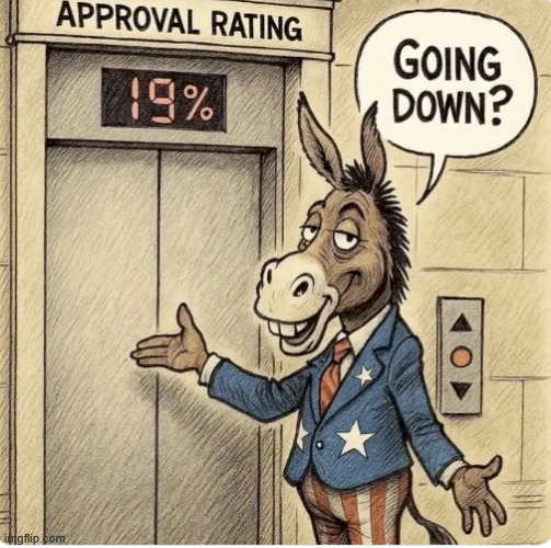 Going down | image tagged in democrats,going down | made w/ Imgflip meme maker