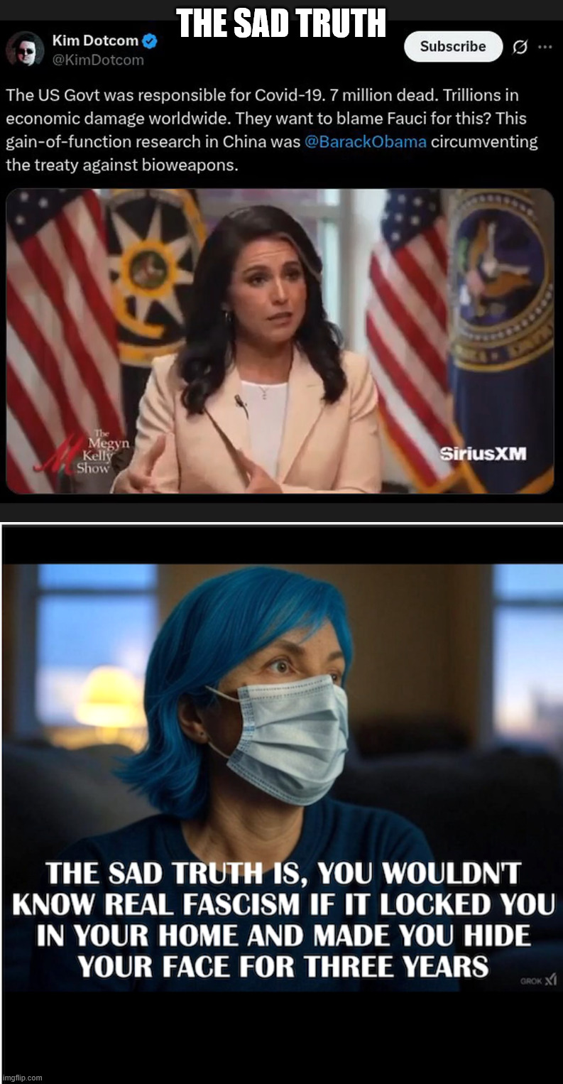 The sad truth | THE SAD TRUTH | image tagged in the sad truth,covid19,no accountabilty,coming soon | made w/ Imgflip meme maker