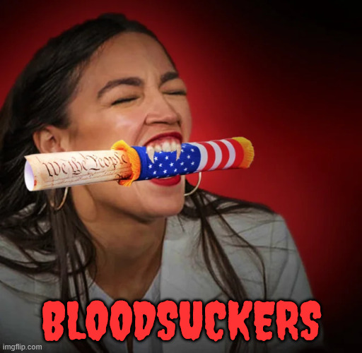 Bloodsuckers | BLOODSUCKERS | image tagged in dems,bloodsuckers,hate america | made w/ Imgflip meme maker